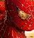 Avatar de Rox77