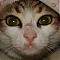 Avatar de Ca�ones